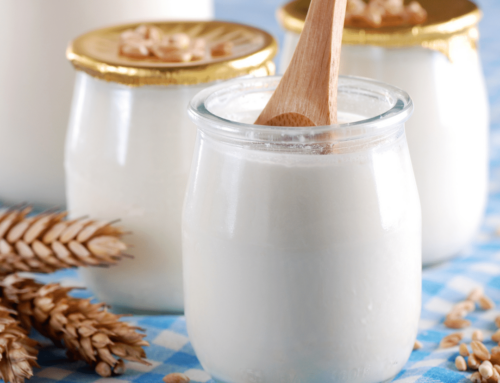 The Latest Yoghurt Industry Trends for 2023 and Beyond
